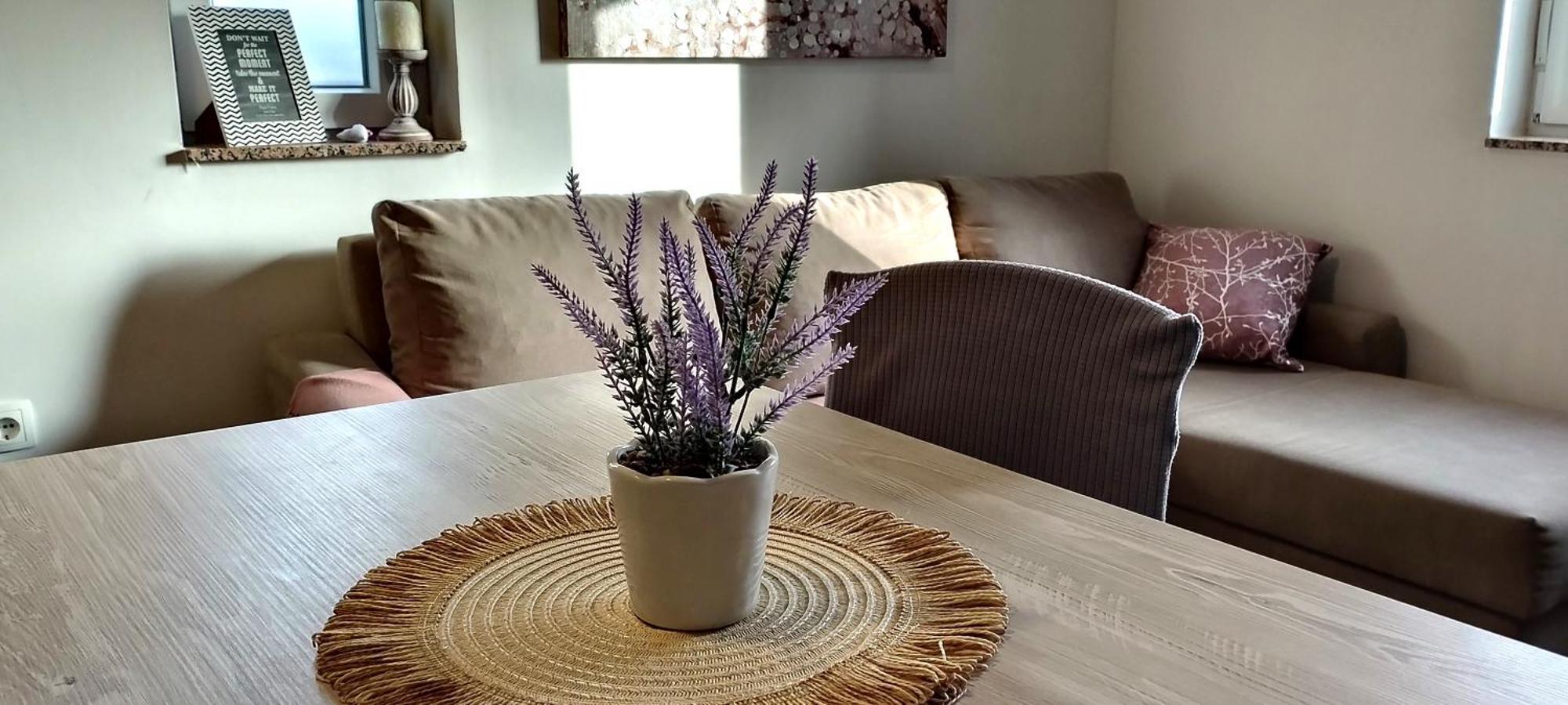 Apartment Morini Zára Kültér fotó
